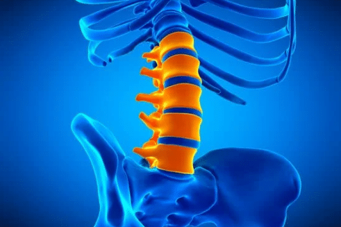 lumbar medial branch