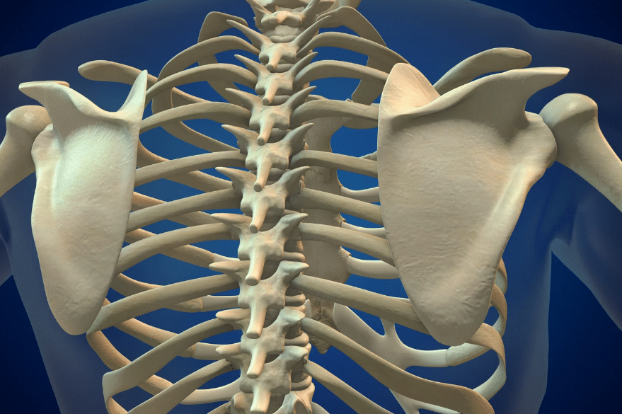 vertebral augmentation